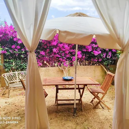 Appart T2 Plein Pied Avec Jardinet Tres Bien Situe Apartment Olbia