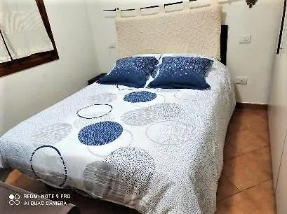 Appart T2 Plein Pied Avec Jardinet Très Bien Situé Appartement *