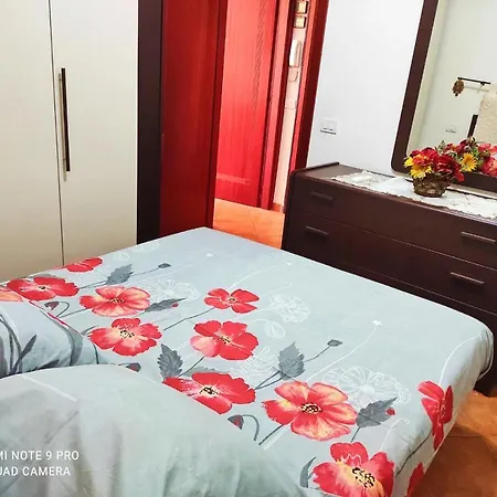 Appart T2 Plein Pied Avec Jardinet Très Bien Situé *